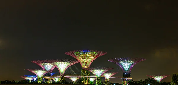 Foto Giardini Vicino Parco Della Baia Singapore Durante Notte — Foto Stock