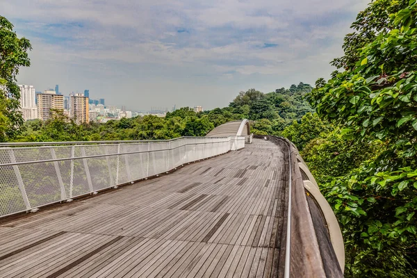 Пішохідний Міст Гендерсон Вейв Сінгапурі — стокове фото