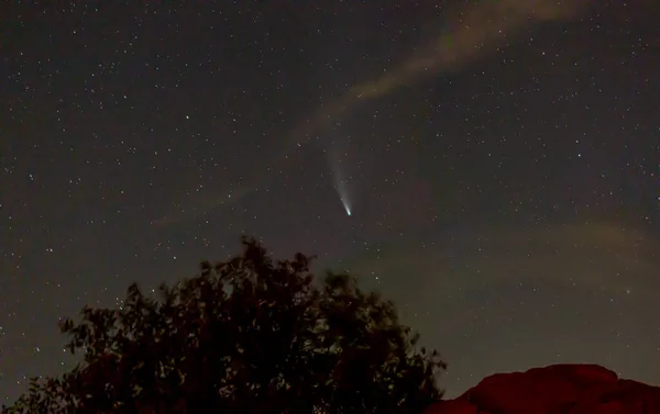 Imagem Cometa Neowise Tirada Cimeira Feldberg Alemanha Julho 2020 Após — Fotografia de Stock