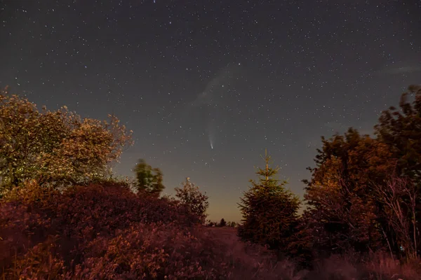 Neowise 혜성이 독일의 Feldberg 정상에서 2020 — 스톡 사진