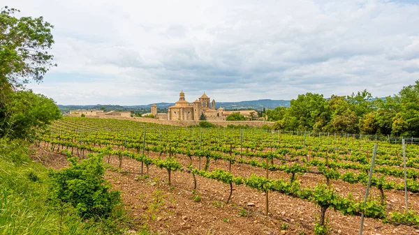 Vista Del Viñedo Monasterio Poblet España — Foto de Stock