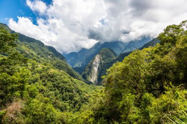 Yazın Tayvan 'daki Zhongbu Çapraz Adası' ndan ormana panoramik manzara