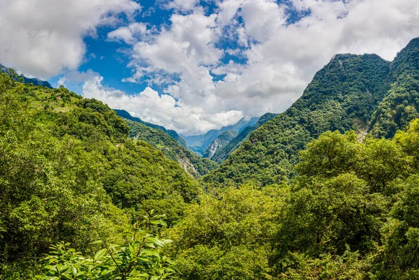 Vista panorámica de la selva desde la autopista Zhongbu Cross Island en Taiwán en verano —  Fotos de Stock