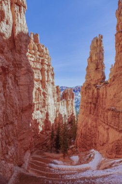 Bryce Kanyonu 'nun Utah' ta kışın çekilmiş resmi.