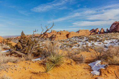 Utah Conyonlands Ulusal Parkı 'ndaki tipik kaya oluşumlarına bak
