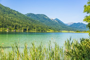 Avusturya 'daki güzel Weissensee Gölü' nün resmi.