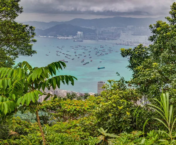 Panoramatický Snímek Přes Hongkong Bsay Mount High West Viewing Point — Stock fotografie