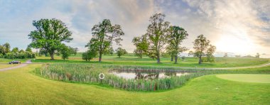 2013 'te İrlanda' da gün boyunca hafif bulutlu gökyüzünde resmedilen bir grup yaşlı ağaç