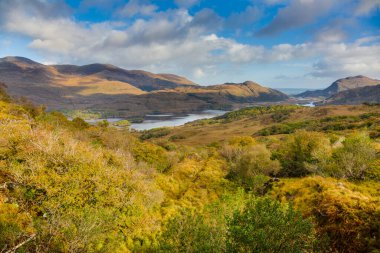 İrlanda 'daki Killarney Ulusal Parkı' ndaki Muckross Gölü manzarası