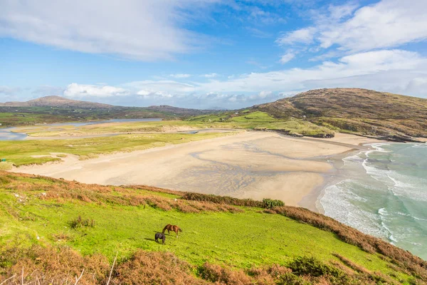 Панорама Пляжу Барлі Коув Південному Заході Ірландії — стокове фото