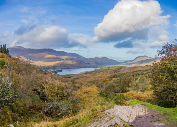 Blick Vom Ladies View Auf Den Muckross Lake Killarney National — Stockfoto