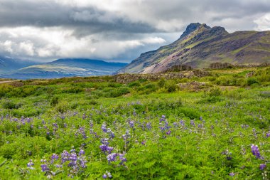 Yazın doğu İzlanda 'da vahşi ve terk edilmiş doğanın resmi.