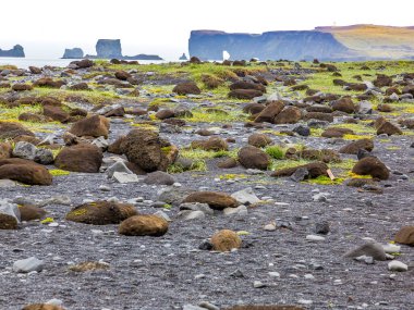 Güney İzlanda 'da yaz aylarında etkileyici bazalt sütunları olan siyah Reynisfjara plajına bakın.