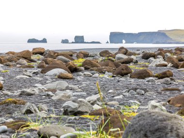 Güney İzlanda 'da yaz aylarında etkileyici bazalt sütunları olan siyah Reynisfjara plajına bakın.