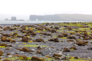 Güney İzlanda 'da yaz aylarında etkileyici bazalt sütunları olan siyah Reynisfjara plajına bakın.