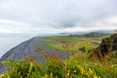 Güney İzlanda Dyrholaey 'den siyah Reynisfjara plajının panoramik resmi