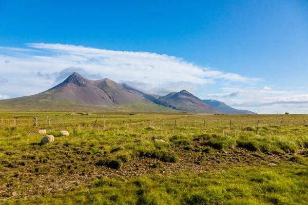 Грубый Пустынный Район Исландии Летом — стоковое фото