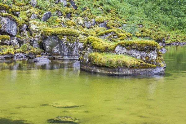 아이슬란드의 비르기 공원의 — 스톡 사진