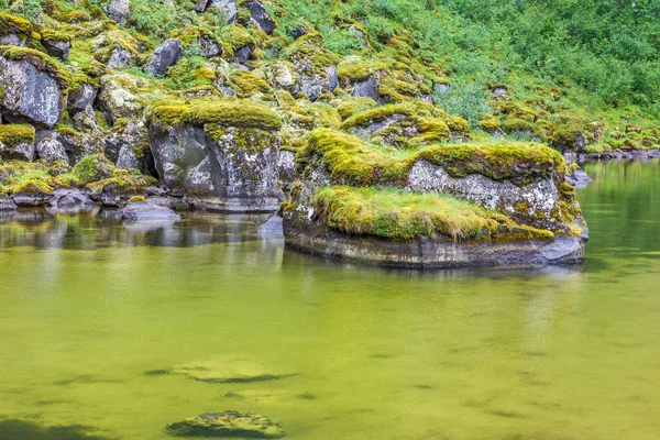 İzlanda 'daki Asbyrgi Milli Parkı' nda göl manzarası