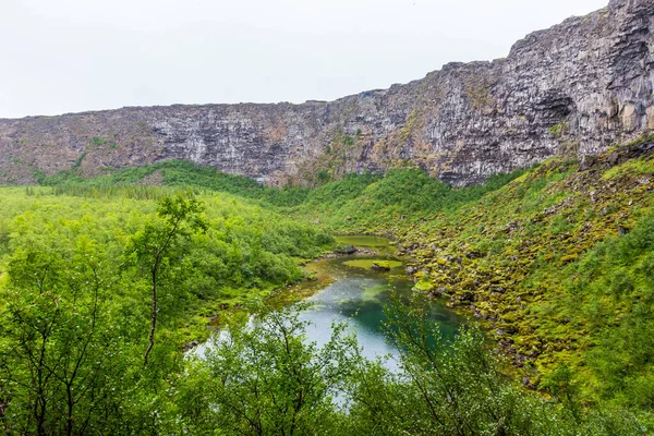 Widok Jezioro Parku Narodowym Asbyrgi Islandii — Zdjęcie stockowe