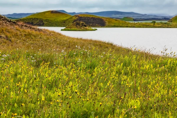 Kilátás Myvatn Tavak Izlandon Nyáron — Stock Fotó