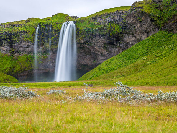 View on Seljalandsfoss waterfall in southern Iceland in summer