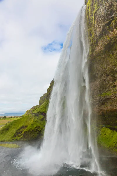 Güney İzlanda 'da yaz aylarında Seljalandsfoss şelalesine bakın