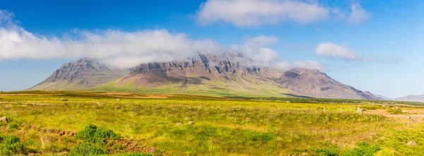 Panorámakép Snaefellsjoekull Vulkán Térségéről Snaefells Félszigeten Izlandon Nyáron — Stock Fotó