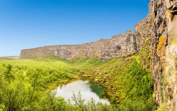 Uitzicht Vanaf Binnenste Asbyrgi Canyon Richting Canyon Afslag Ijsland Zomer — Stockfoto