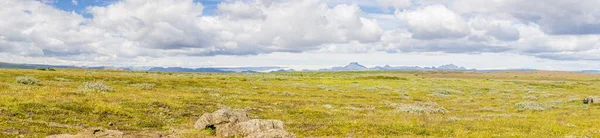 Vista Panorámica Sobre Amplio Terciopelo Del Sur Islandia Verano — Foto de Stock