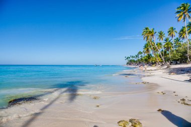 Karayipler 'deki Domenican Oblik adasındaki tropik plaj.