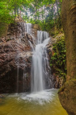 Malezya 'daki Krau Yaban Hayatı Koruma Alanındaki bir şelalenin fotoğrafı, Kasım 2013' te uzun süre çekilmiştir.