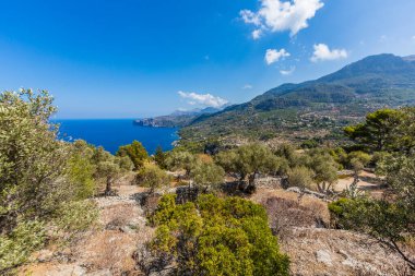 İspanya 'nın Mallorca adasındaki Soller' in panoramik resmi