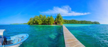 Palau 'daki Sazan Adası' nda gündüz vakti
