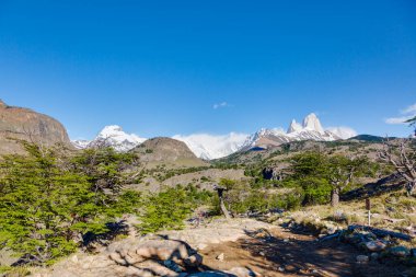 Cerro Torre Buzul Gölü 'ne giden yürüyüş yolunun resmi.