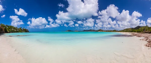 Vista Playa Tropical Isla Caribeña Maarten —  Fotos de Stock