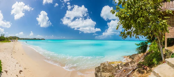 Vista Playa Tropical Isla Caribeña Maarten —  Fotos de Stock