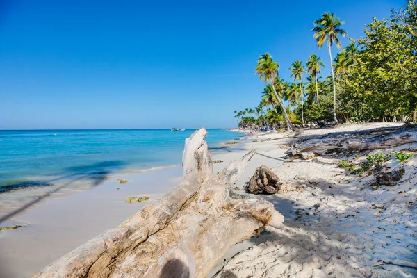 Spiaggia Tropicale Sull Isola Caraibica Della Repubblica Domenicana — Foto Stock