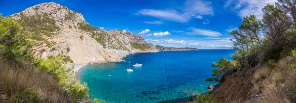 Mallorca Adası Ndaki Sevimli Platja Des Coll Baix Panoramik Resmi — Stok fotoğraf