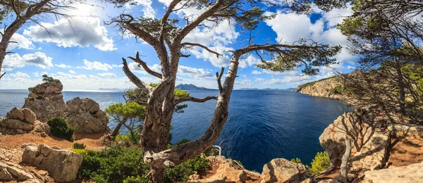 Fotografia Tirada Trilha Caminhada Para Cala Murta Maiorca Durante Dia — Fotografia de Stock