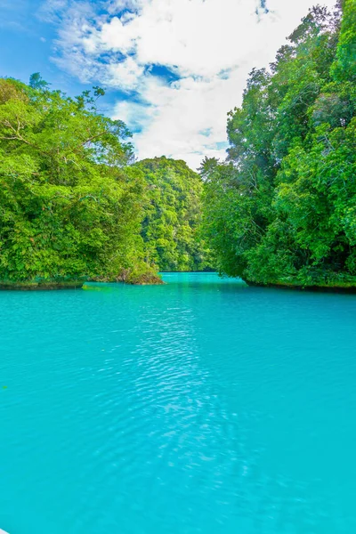 Båttur Genom Turkosa Vatten Vintergatan Palau — Stockfoto