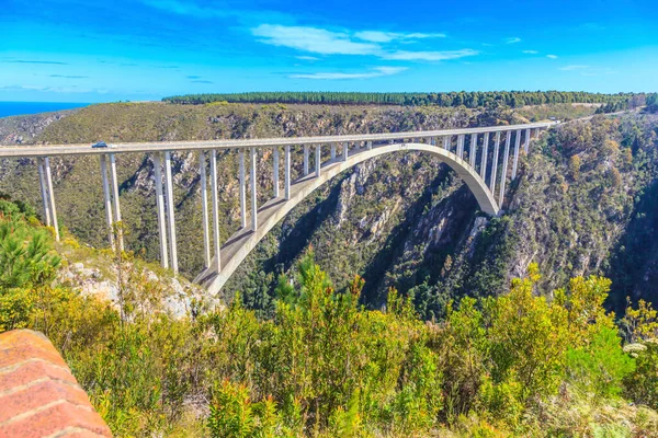 Eylül 2013 'te Güney Afrika' daki Tsitsikama Ulusal Parkı 'ndaki Bloukrans Köprüsü' nün mavi gökyüzünde çekilmiş fotoğrafı