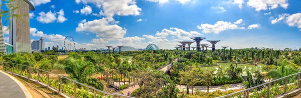 Foto Panorámica Gardens Bay Singapur —  Fotos de Stock