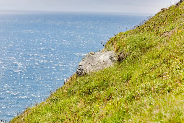 Prado Inclinado Com Oceano Fundo Horizonte — Fotografia de Stock