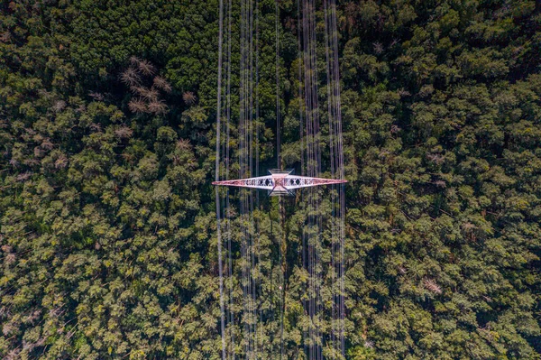 Vertikální Pohled Kovovou Tyč Vysokonapěťovými Vodiči Přes Lesní Porosty Německu — Stock fotografie