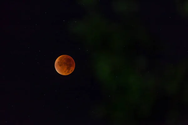 Imagem Lua Sangue Fotografada Noite Com Árvores Primeiro Plano — Fotografia de Stock