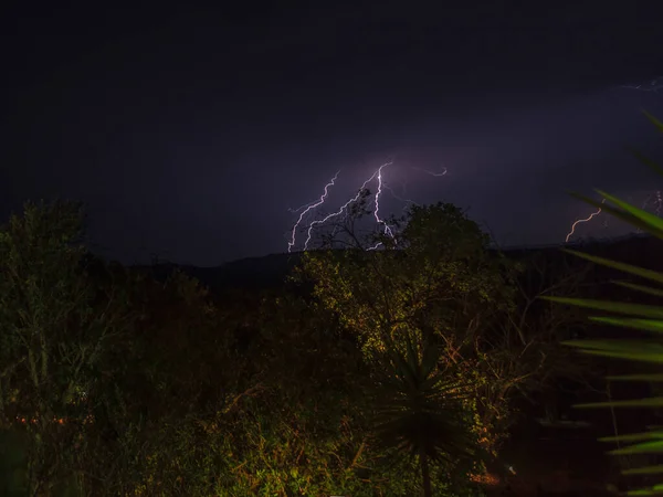 Photo of thunderstorm flashes in the night sky above Kruger National Park photographed in South Africa in September 2013