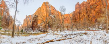 Kışın Zion Ulusal Parkı 'ndan çekilen panoramik görüntüler, Ocak 2013' te Zion Canyon Sahne Yolu 'nda kar fotoğraflandı.