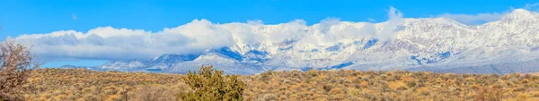 2013年1月在美国拍摄的内华达沙漠全景 以及无云天空中的雪山壮丽景象 — 图库照片