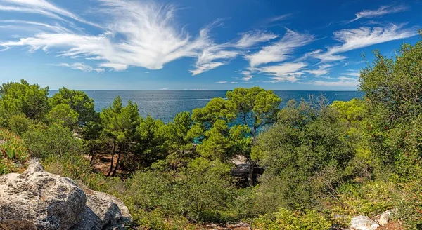 View over typical coast landscape of Istria in summer — Stock Photo, Image